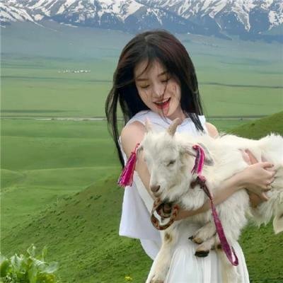 少年白马醉春风剧场版